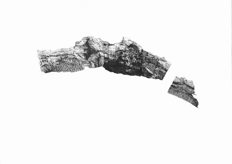MUYU.2 | etching | 60×80 cm| 2015